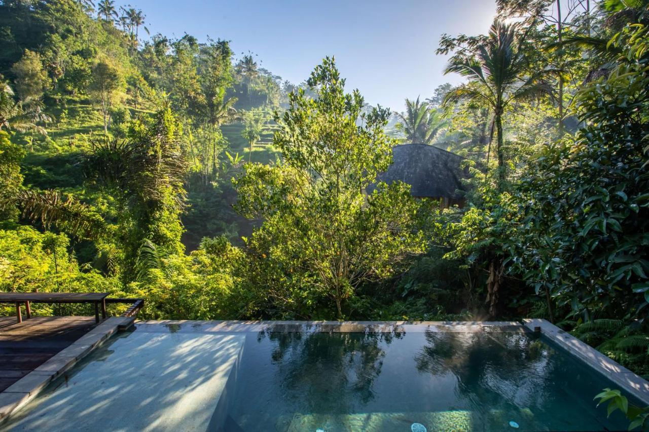 Buahan, A Banyan Tree Escape パヤンガン エクステリア 写真